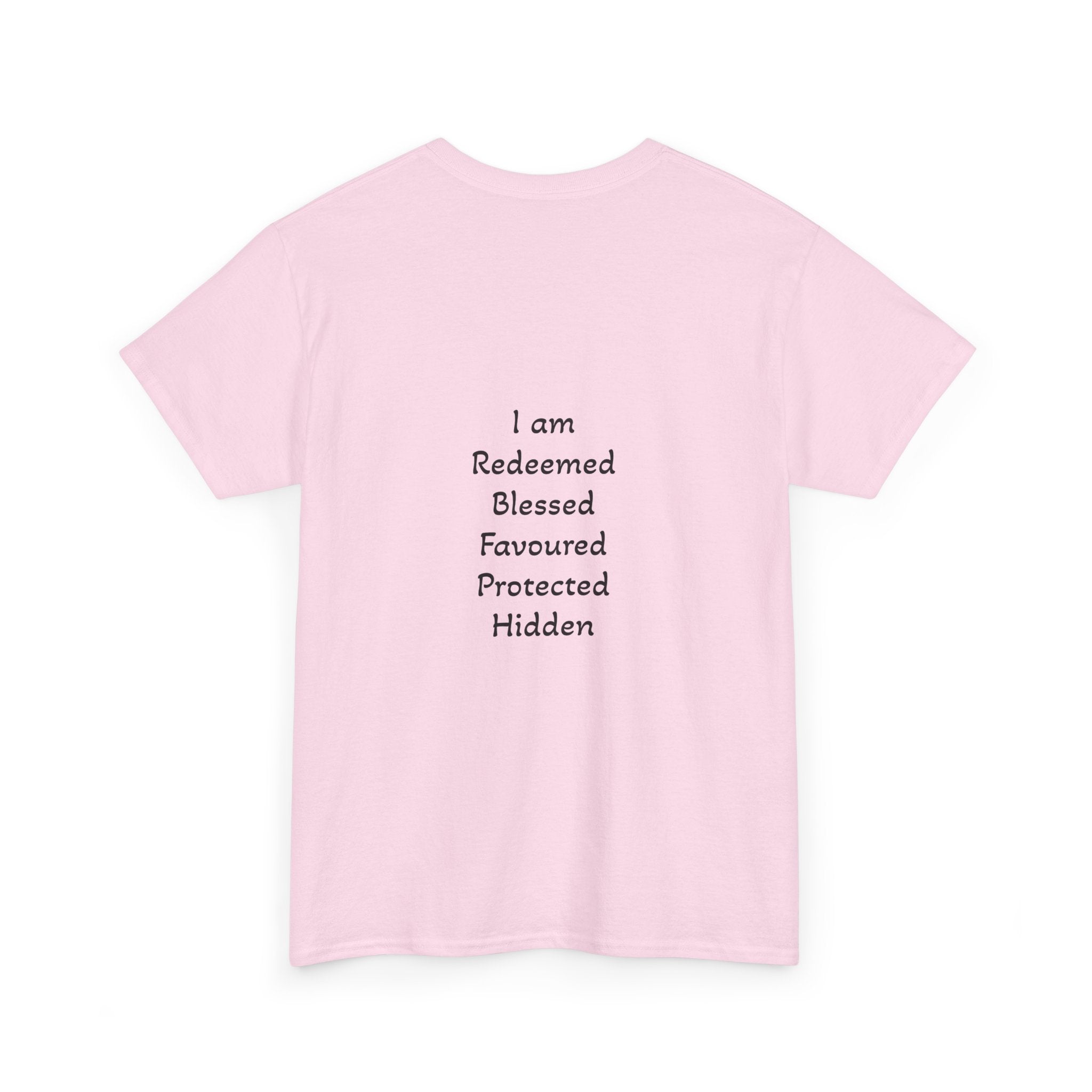 Own it Women Unisex Heavy Cotton Tee T shirt