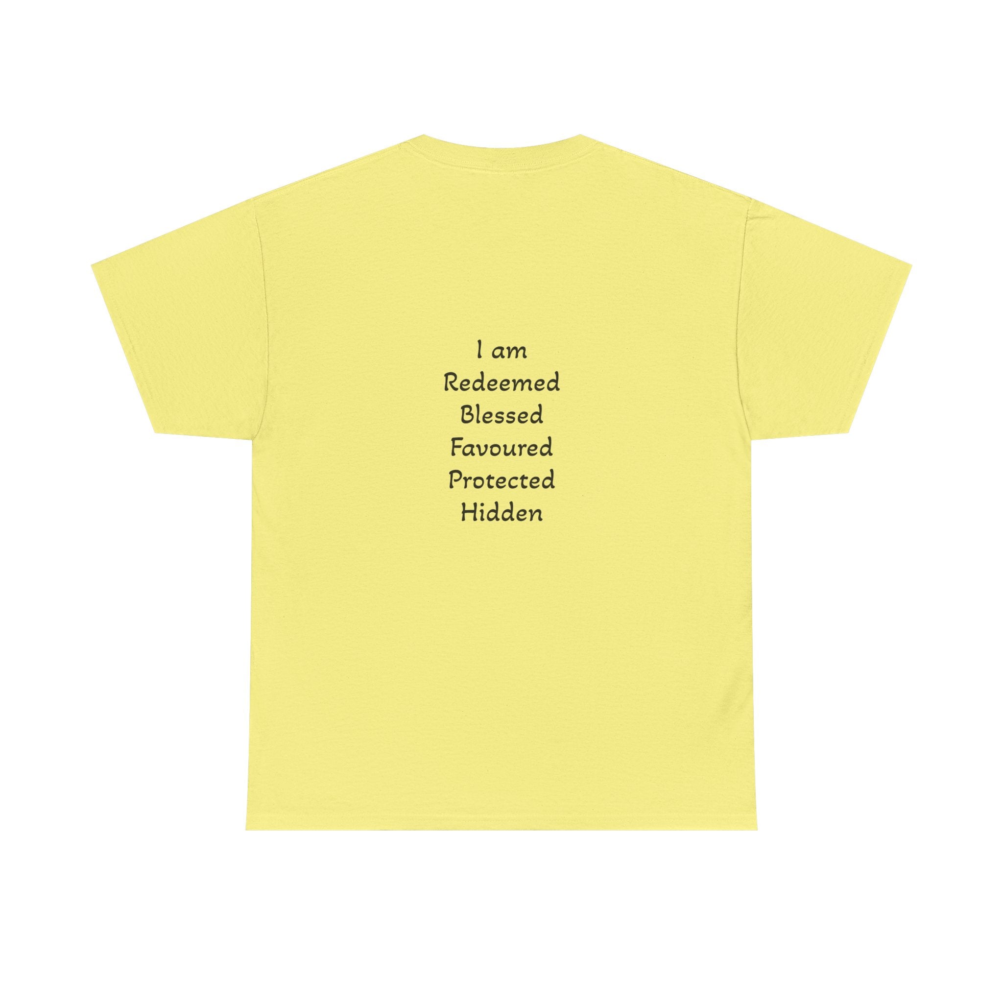 Own it Women Unisex Heavy Cotton Tee T shirt