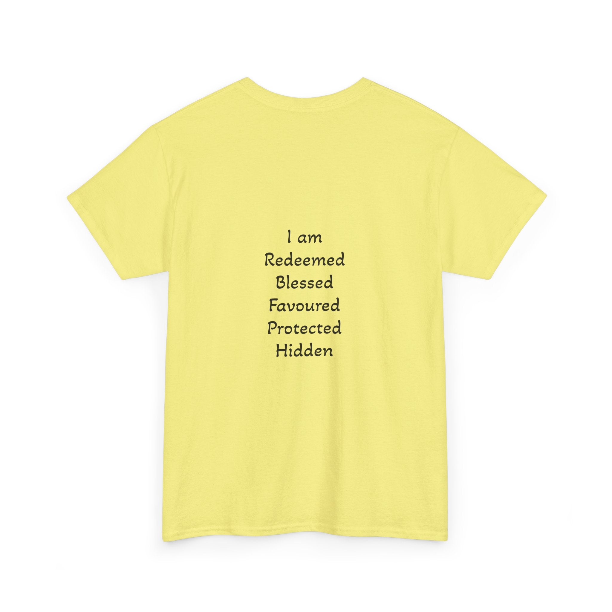 Own it Women Unisex Heavy Cotton Tee T shirt