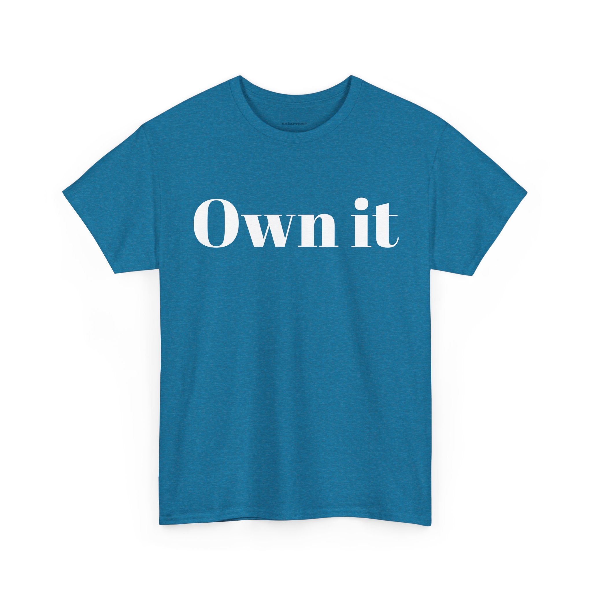 Own it Women Unisex Heavy Cotton Tee T shirt