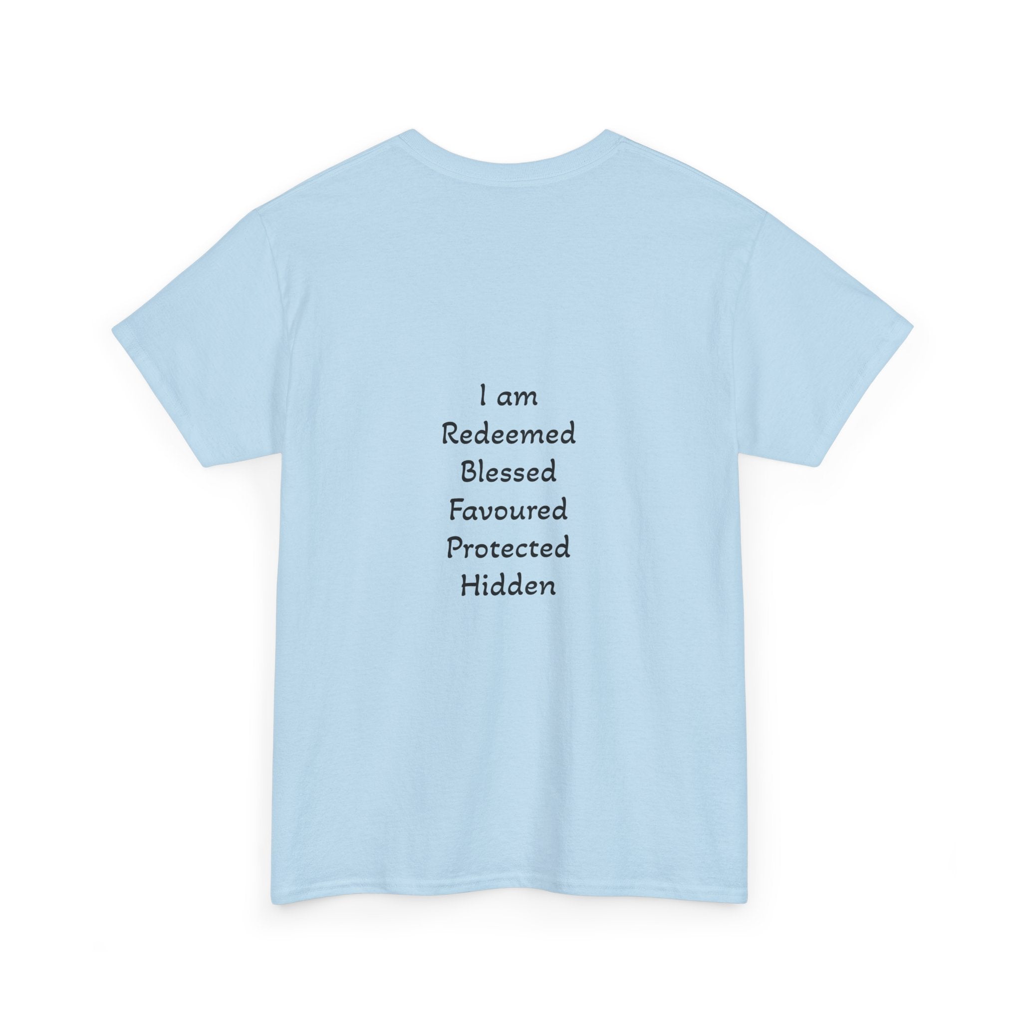 Own it Women Unisex Heavy Cotton Tee T shirt