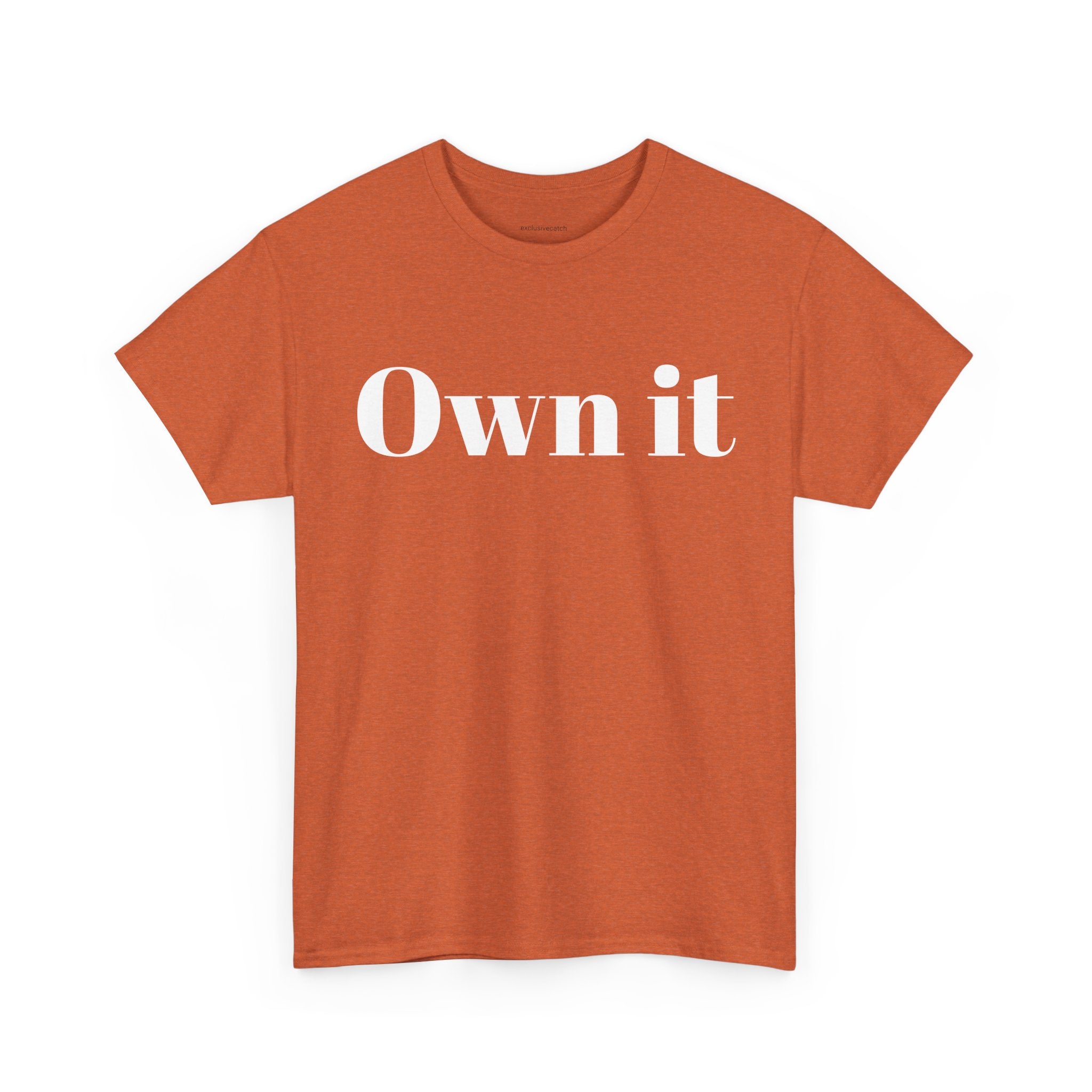 Own it Women Unisex Heavy Cotton Tee T shirt