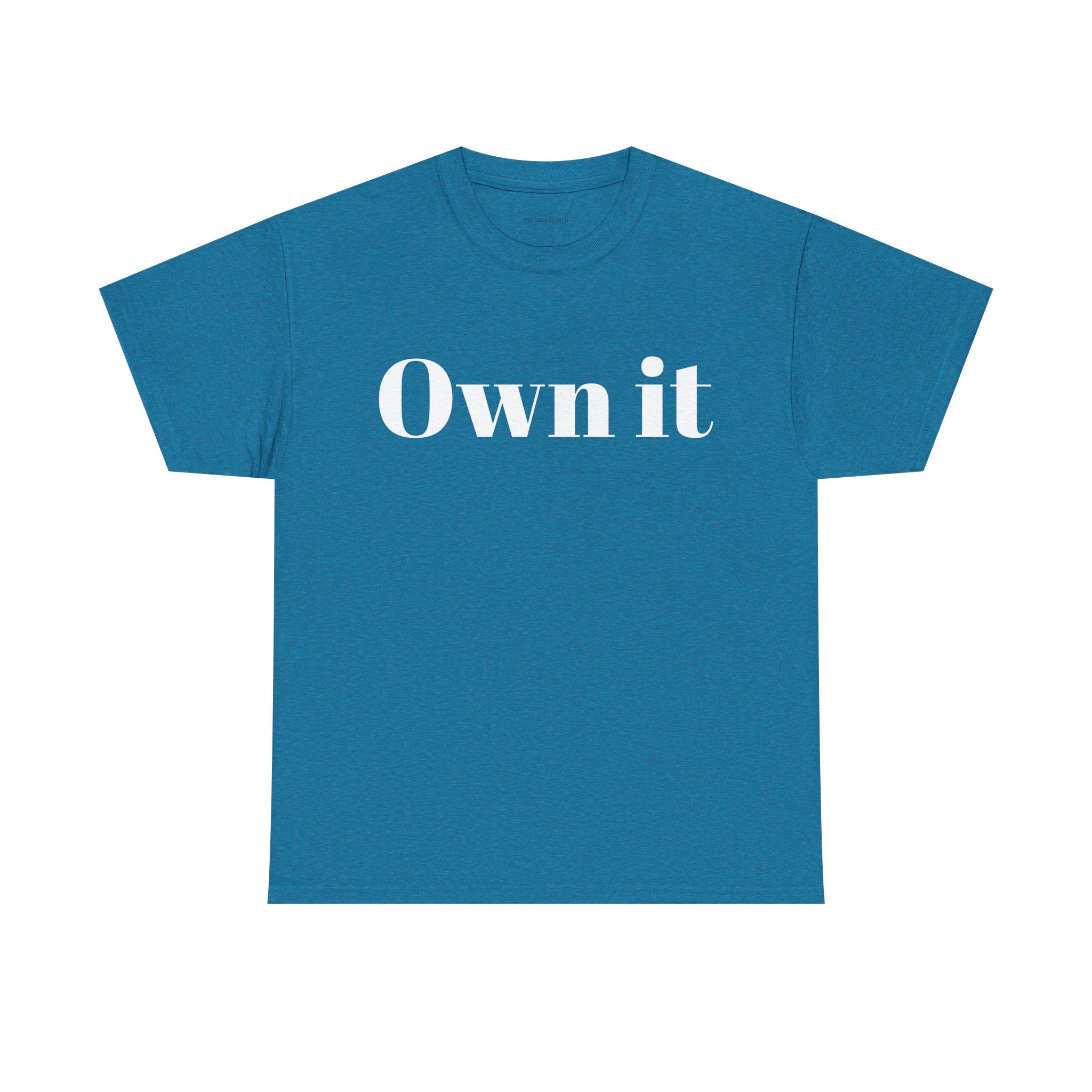 Own it Women Unisex Heavy Cotton Tee T shirt