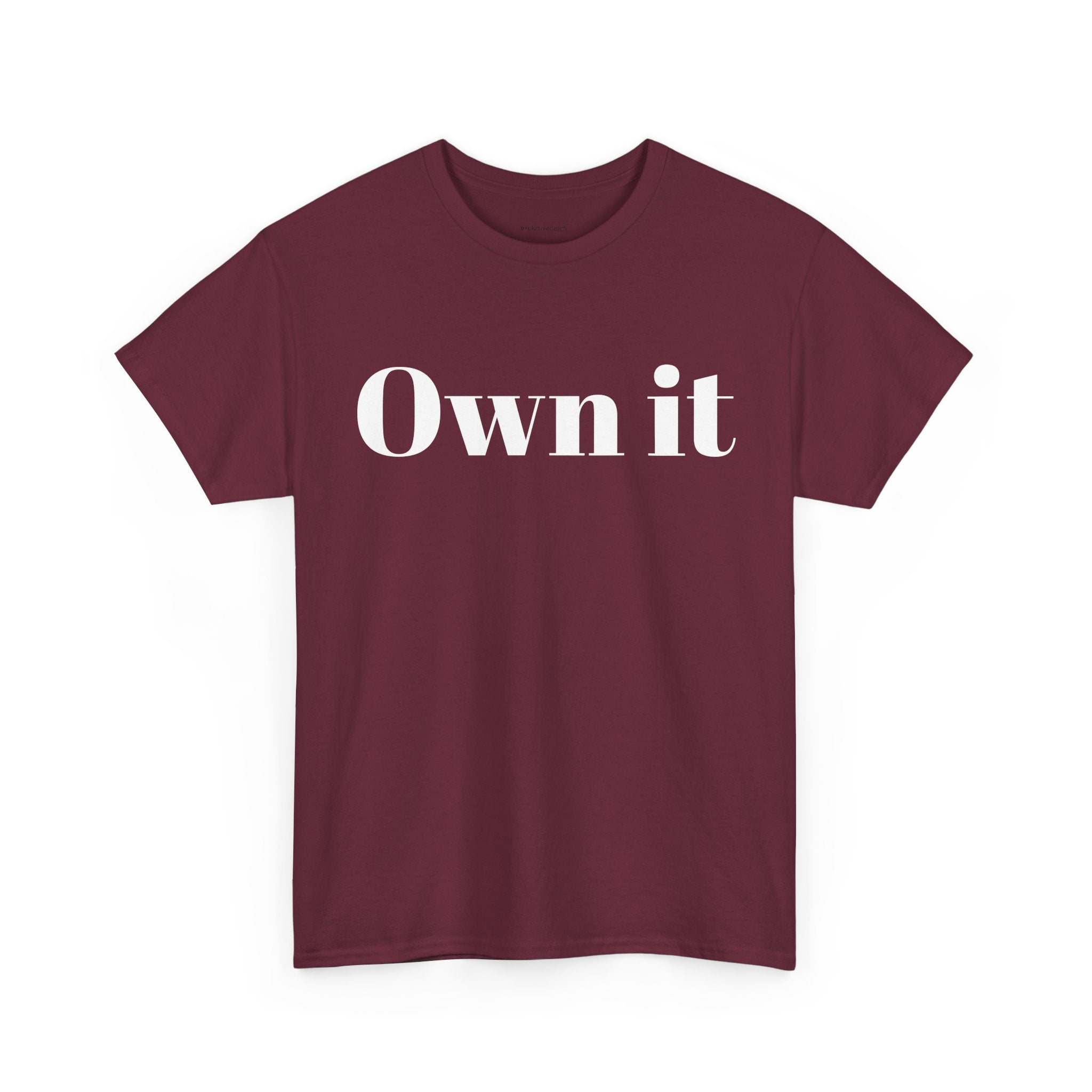Own it Women Unisex Heavy Cotton Tee T shirt